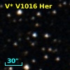 V* V1016 Her