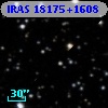 IRAS 18175+1608