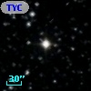 TYC 1567-1813-1