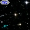 TYC 1567-1916-1