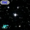 TYC 1567-2118-1