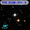 TYC 3130-736-1