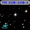TYC 3130-1310-1