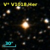 V* V1018 Her