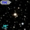 TYC 1036-955-1