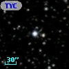 TYC 1036-1073-1