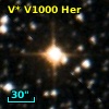 V* V1000 Her