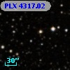 PLX 4317.02