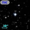 TYC 1036-41-1