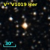 V* V1019 Her