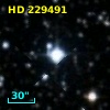 HD 229491