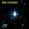 HD 175243