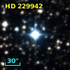 HD 229942