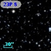 23P  8