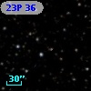23P 36