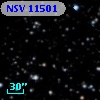 NSV 11501