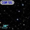23P 55