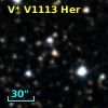 V* V1113 Her