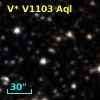 V* V1103 Aql