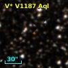 V* V1187 Aql
