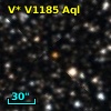 V* V1185 Aql