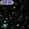 22P 75