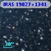 IRAS 19027+1341