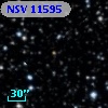 NSV 11595