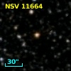 NSV 11664