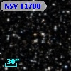 NSV 11700