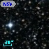 NSV 11705