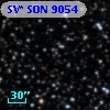 SV* SON  9054