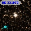 HD 231070