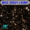 IRAS 19155+1509