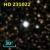 HD 231022