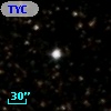TYC 1599-278-1