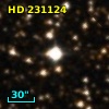 HD 231124
