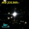 HD 231305