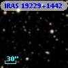 IRAS 19229+1442