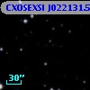CXOSEXSI J022131.5+423103