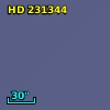 HD 231344