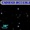 CXOSEXSI J022136.1+422730