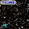 **   J  2981
