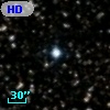 HD 231981