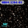 HBHA 1204-01