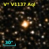 V* V1137 Aql