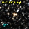V* V1375 Aql
