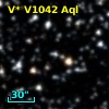 V* V1042 Aql