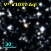 V* V1037 Aql