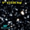 V* V1036 Aql